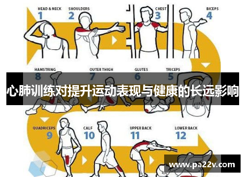 心肺训练对提升运动表现与健康的长远影响
